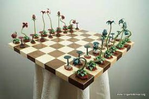 chess_3.jpg